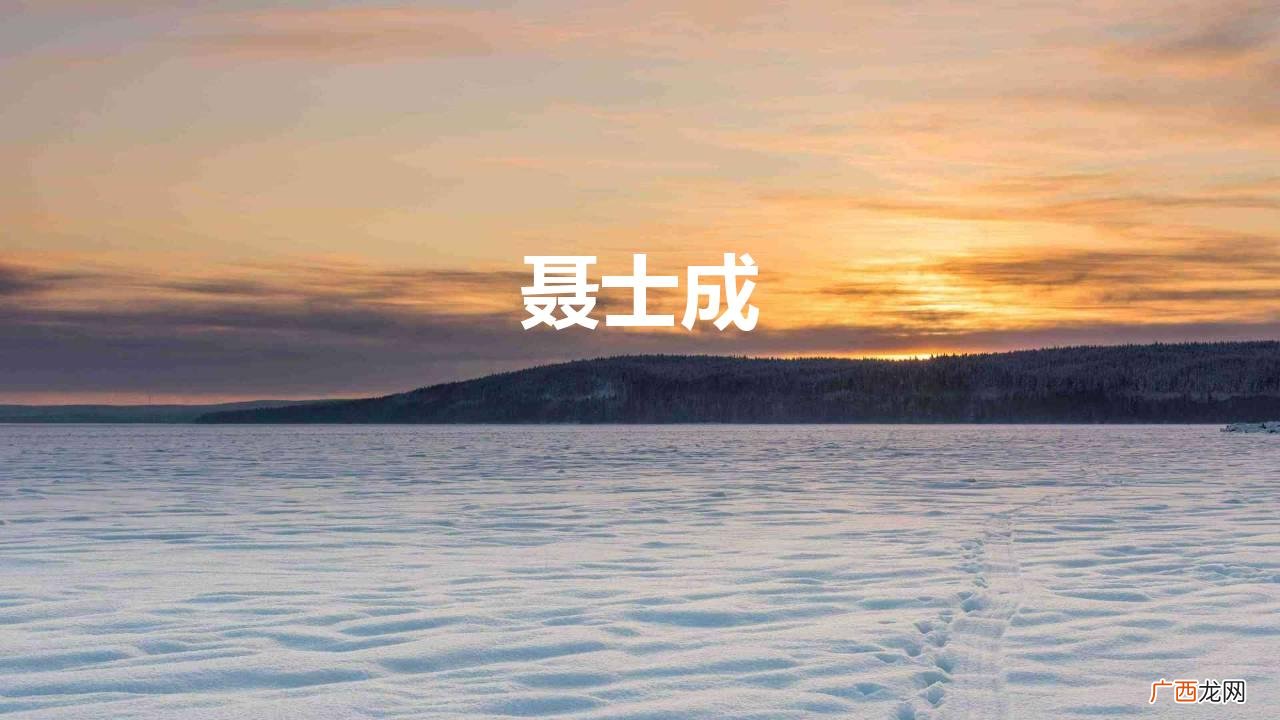 聂士成为国牺牲 聂士成