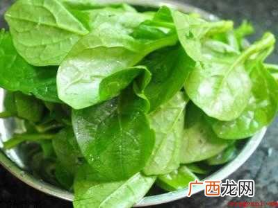 野木耳菜怎么吃