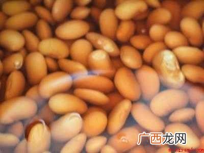 怎么吃芸豆
