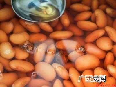 怎么吃芸豆