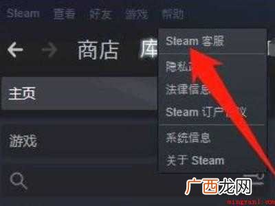 steam域名名称怎么填