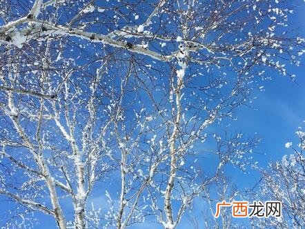 大连冬季气温一般多少,大连的海冬天结冰吗？