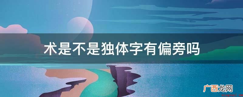 中国汉字的象形字和表意字的区别 术是不是独体字有偏旁吗