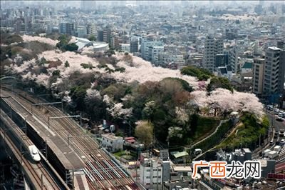 大明湖畔在哪里个城市,著名的大明湖畔是在济南吗？