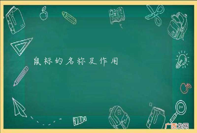 鼠标的名称及作用