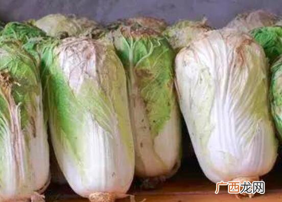 白菜根煮水孕妇可以喝吗