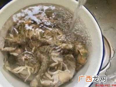 泸沽虾怎么吃
