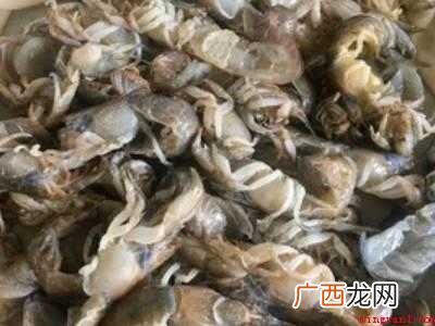 泸沽虾怎么吃