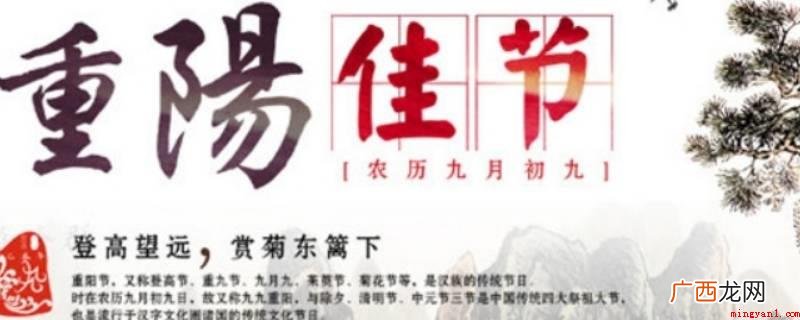 大菊花须插满头归是重阳节 菊花须插满头归是什么节日