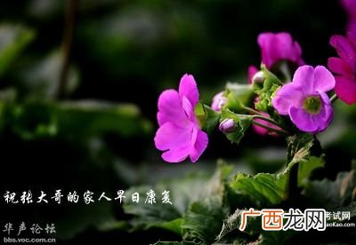 早日康复祝福语,祝病人早日康复的祝福语？