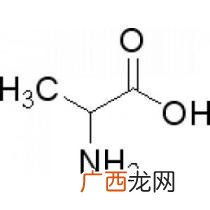 丙氨酸是什么氨基酸,丙氨基酸是什么？