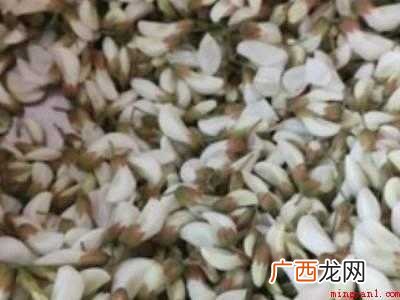 洋槐树花怎么吃