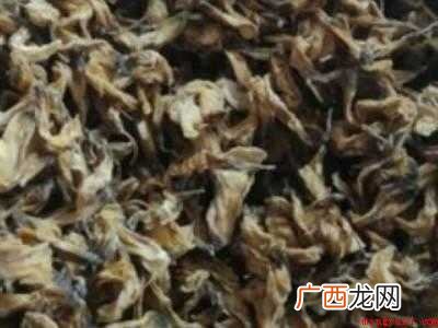 洋槐树花怎么吃