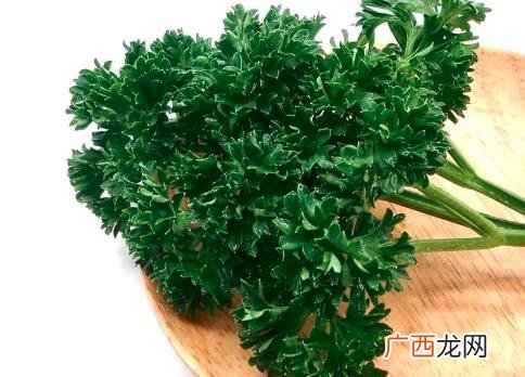 荷兰芹和西芹的营养价值区别 荷兰芹和西芹的区别