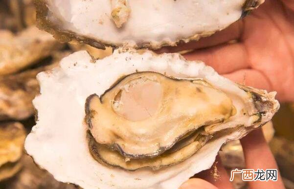 牡蛎和鲍鱼的营养价值区别 牡蛎和鲍鱼的区别