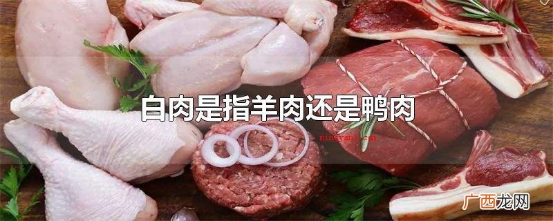 白肉和白肉有什么区别? 白肉是指羊肉还是鸭肉