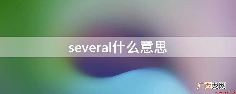 several,英文单词,形容词、代词 several什么意思
