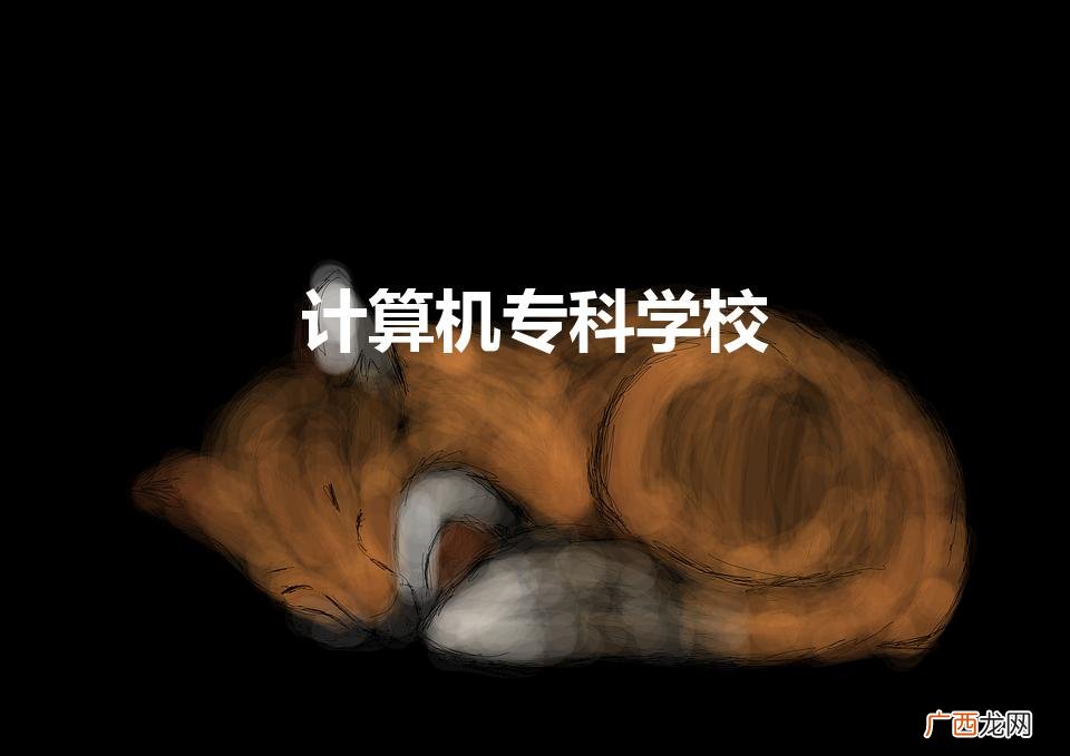 计算机专科学校（计算机专业学校全国排名)