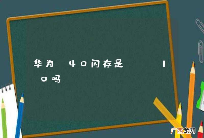 华为p40闪存是sfs1.0吗?