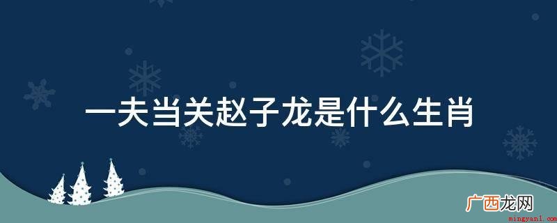 一夫当关赵子龙是生肖_人文频道 一夫当关赵子龙是什么生肖