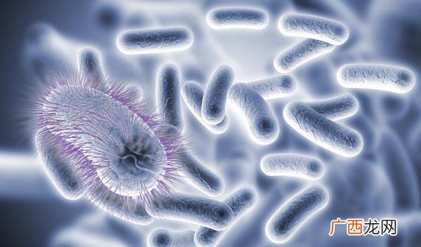 病毒是生物吗,为什么病毒不是生物？为什么病毒不是生物？