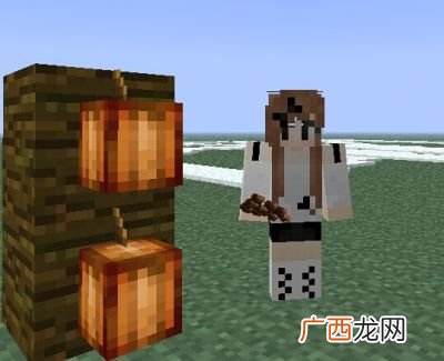 我的世界可可豆怎么种,mite可可豆种植条件?
