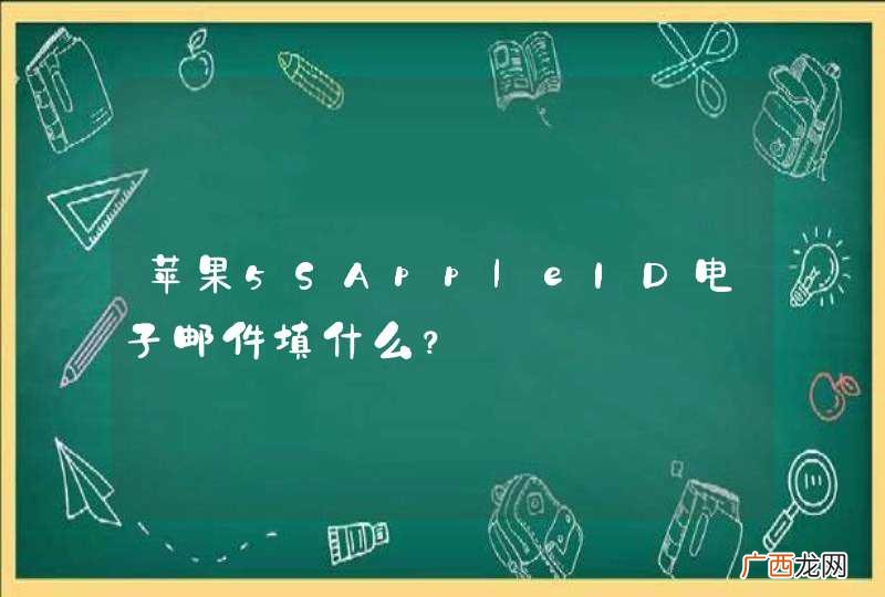 苹果5SAppleID电子邮件填什么？