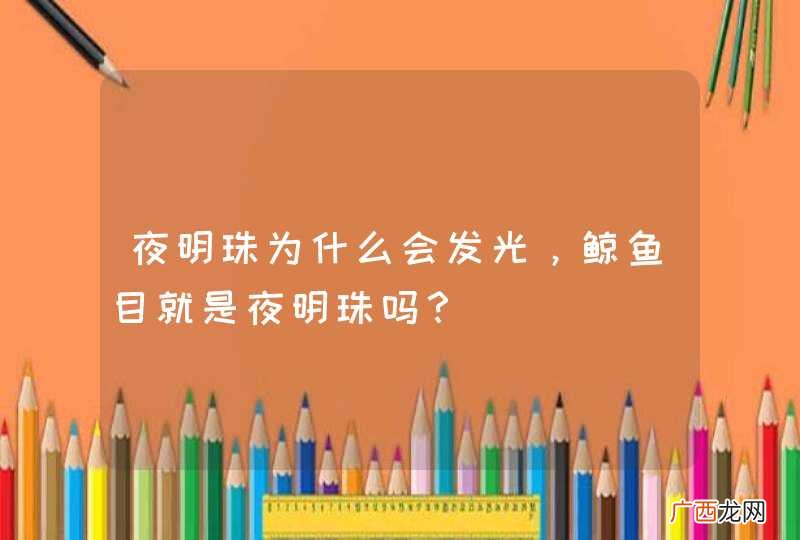 夜明珠为什么会发光，鲸鱼目就是夜明珠吗？