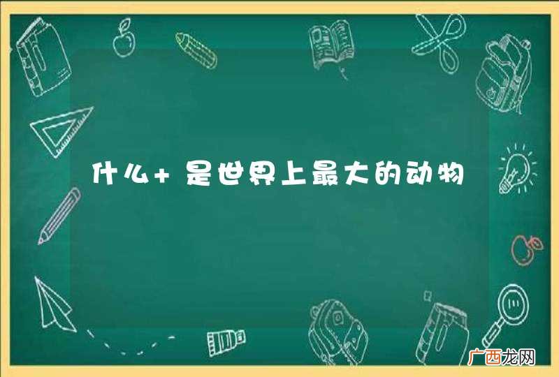 什么 是世界上最大的动物