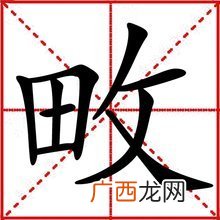 畋怎么读,田加反文旁念什么？