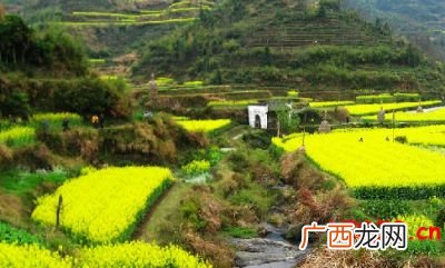 婺源属于哪个地区的,婺源是什么时候划分到江西的？