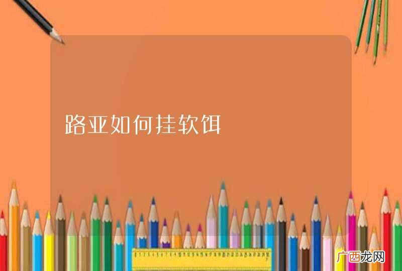路亚如何挂软饵