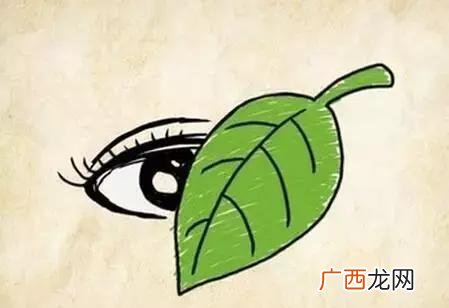 一叶障目的寓意是什么,一叶障目成语故事原文？