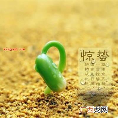 生物休眠的状态蛰,藏的意思 二十四节气里惊蛰的蛰是什么意思?