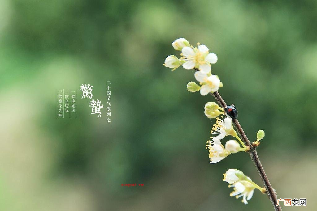 生物休眠的状态蛰,藏的意思 二十四节气里惊蛰的蛰是什么意思?
