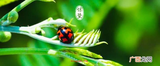 生物休眠的状态蛰,藏的意思 二十四节气里惊蛰的蛰是什么意思?