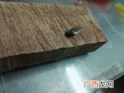 哪些木材可以车珠子,银杏树可以车珠子吗？