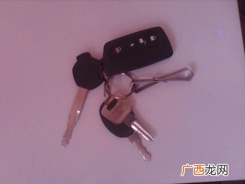 钥匙是什么,钥匙是什么动物？