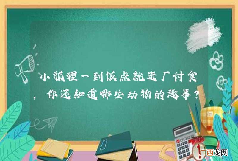小狐狸一到饭点就进厂讨食，你还知道哪些动物的趣事？