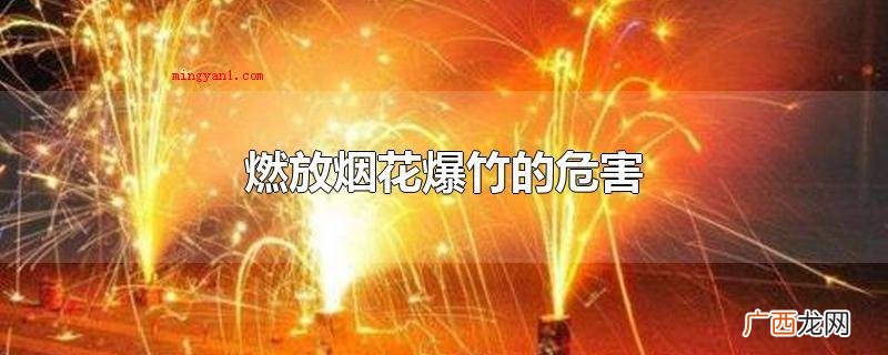 燃放烟花爆竹会造成环境污染 燃放烟花爆竹的危害