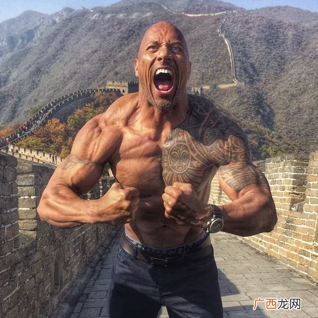 道恩强森的电影有哪些,隆达罗西参演有哪些电影？