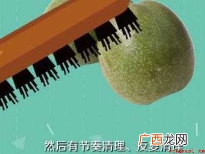 桃核怎么清理最干净