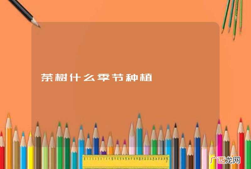 茶树什么季节种植