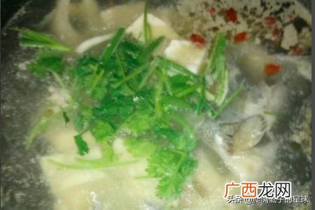 鲈鱼豆腐汤的营养价值,鲈鱼豆腐汤怎么做？