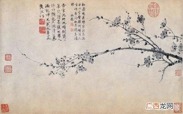 墨梅的意思,墨梅的意思是什么?