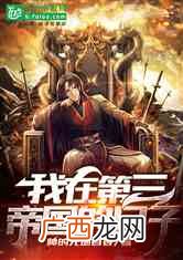 关于第三帝国的小说,steam帝国时代三如何换成亚洲王朝？
