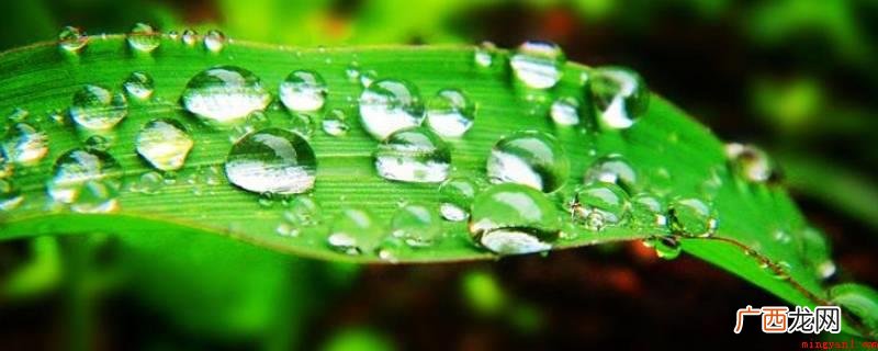 晚间晴空万里有益于路面或地物快速辐射源制冷 10月份晚上有露水吗