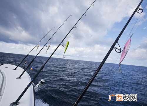 路亚钓鱼技巧是什么,雨天路亚钓鱼技巧？