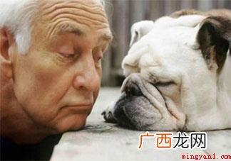 终身未婚的老人该怎样养老 未婚老人晚年时期怎么玩 终身未婚的老人该如何养老