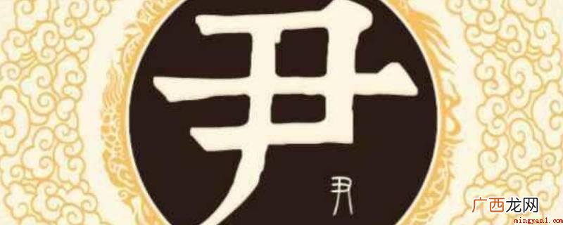 中华字典记述:《广韵》于准切《集韵》庾准切,音允 尹怎么读
